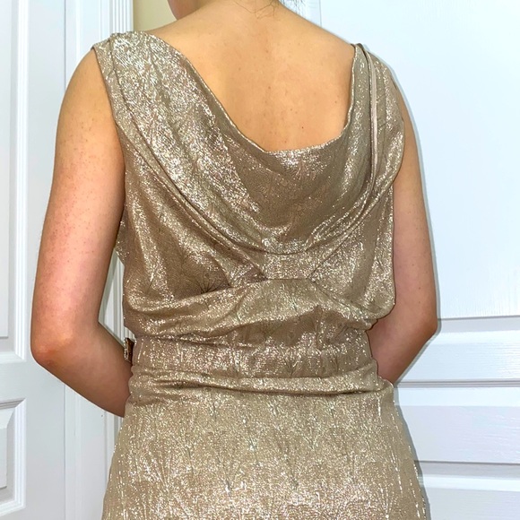 🔥🔥PORTS 1961| Taupe & Metallic Silver Dress -Sz 6 - Picture 15 of 15
